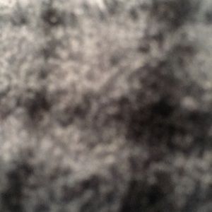 Meet your Posher, Lexa